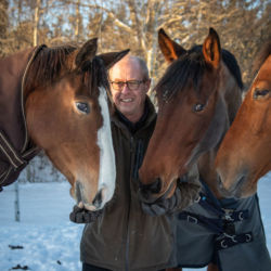 Mats Öhlin och hästarna