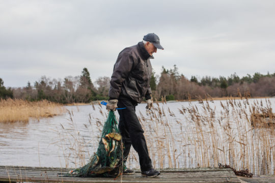 Ensam på 350 tunnland